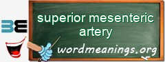 WordMeaning blackboard for superior mesenteric artery